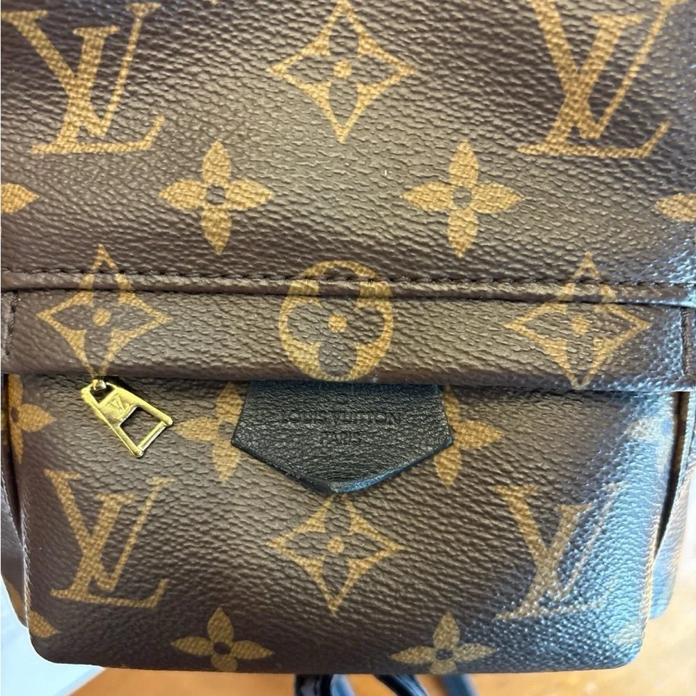 Authentic Louis Vuitton Palm Spings Mini - Picture 7 of 12